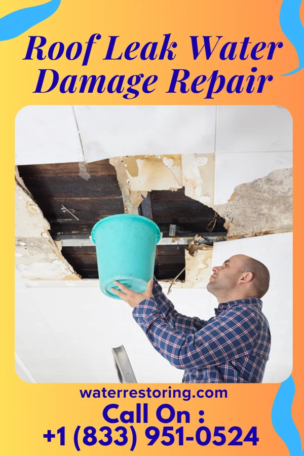 Roof Leak Water Damage Repair in Southeast Arcadia, FL